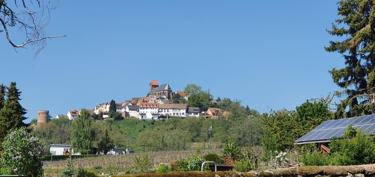 Landgasthaus "Zum Engel" Hotel Neuleiningen Luaran gambar