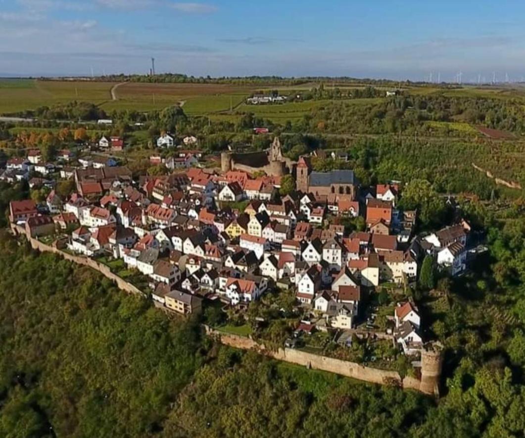 Landgasthaus "Zum Engel" Hotel Neuleiningen Luaran gambar